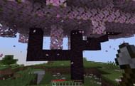Collect wood from Cherry Grove biome (Image via Mojang)